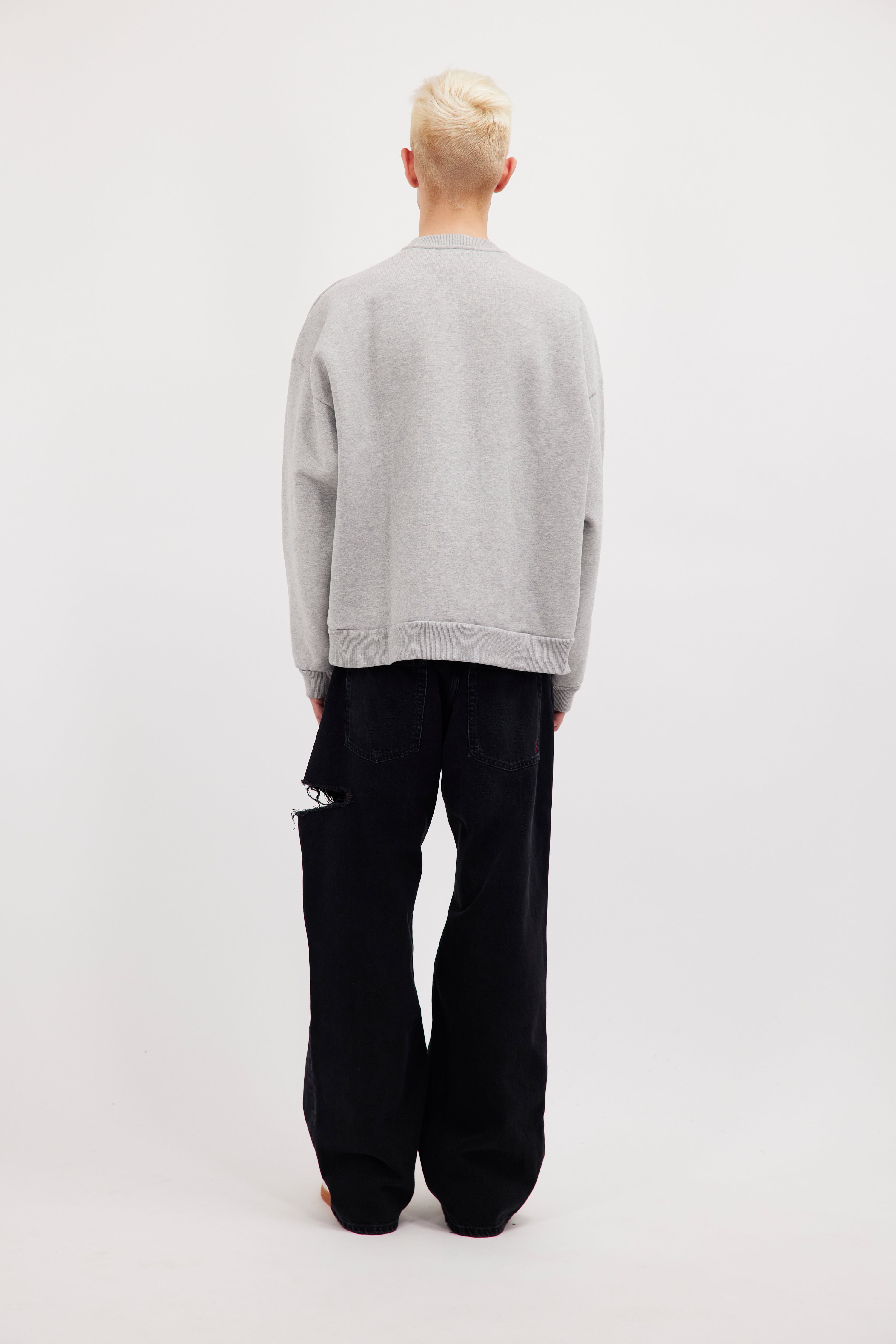 Back view of Fitz men’s sweatshirt in gray, 100% cotton, worn by a model.
