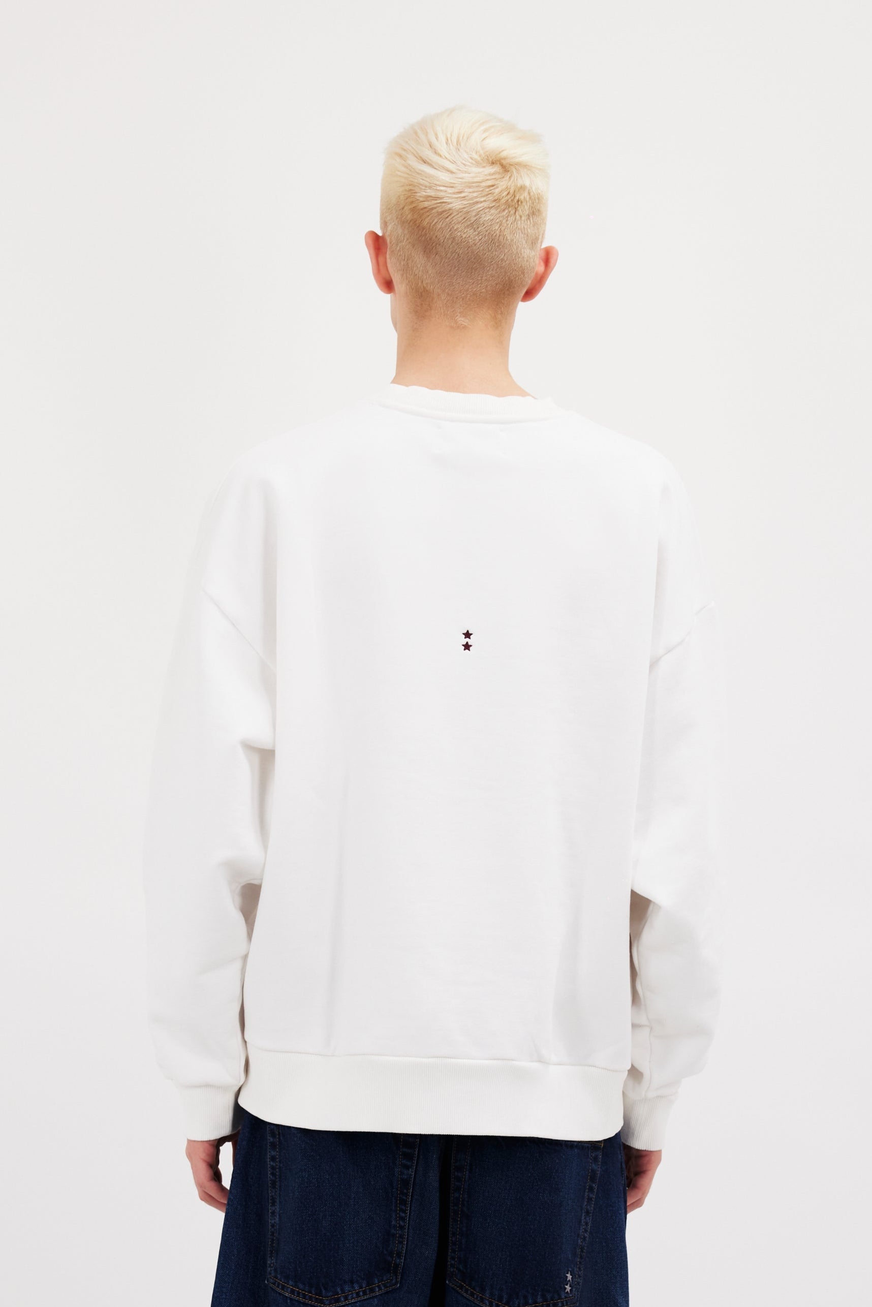 Back view of Fitz men’s sweatshirt in white, 100% cotton, worn by a model.