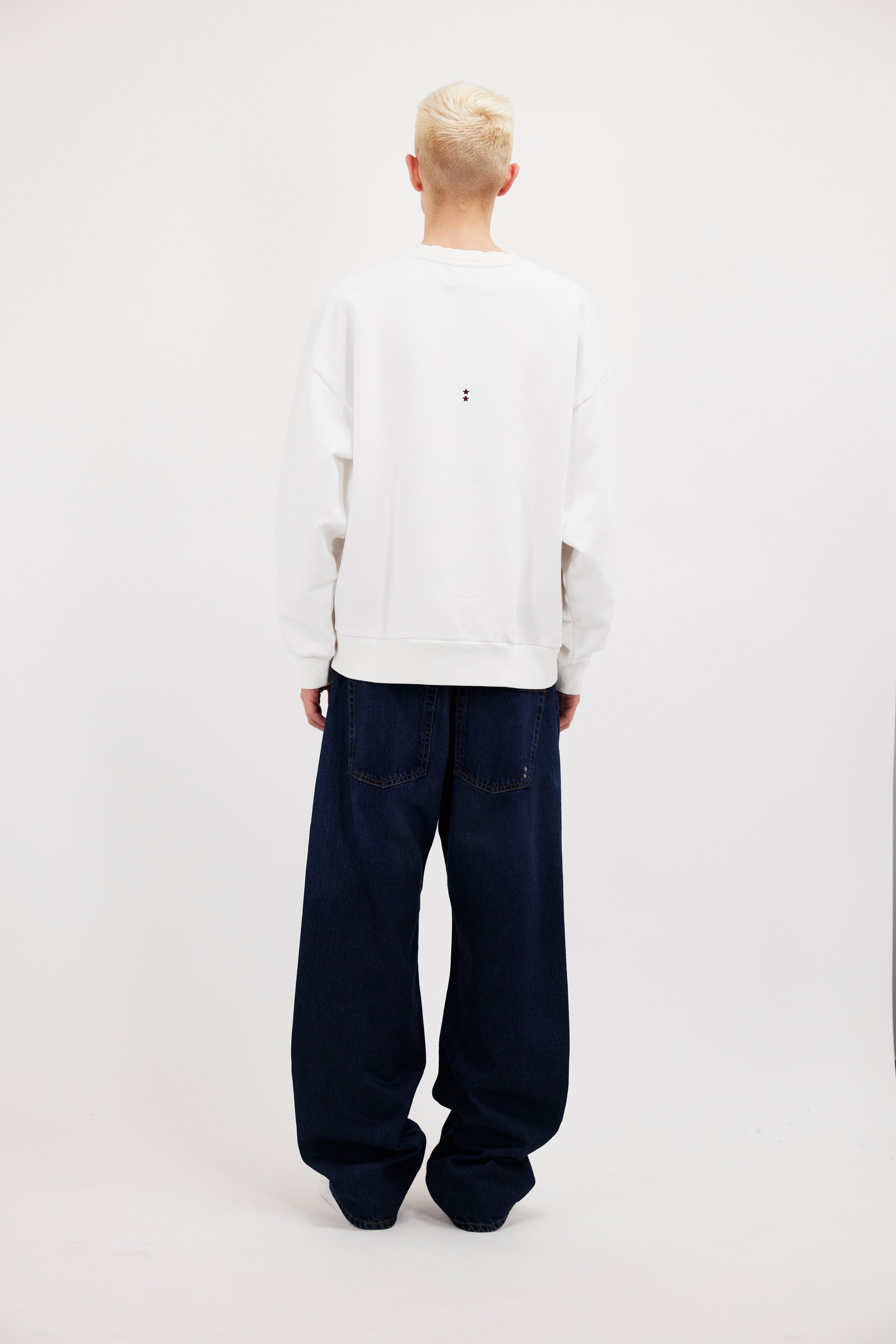 Back view of Fitz men’s sweatshirt in white, 100% cotton, worn by a model.